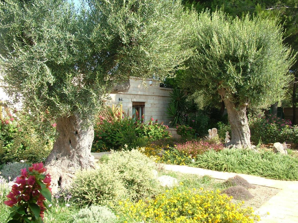 Villa Urania Torre San Giovanni Ugento Eksteriør bilde